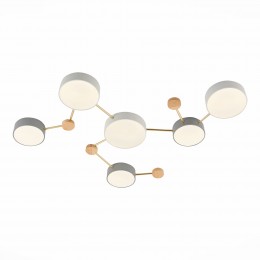 Светильник EVOLUCE SLE600102-06