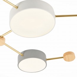 Светильник EVOLUCE SLE600102-06