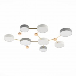 Светильник EVOLUCE SLE600102-08