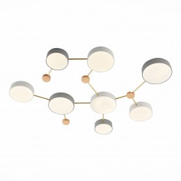 Светильник EVOLUCE SLE600102-08