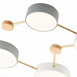 Светильник EVOLUCE SLE600102-08