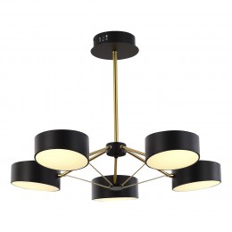 Светильник EVOLUCE SLE6005-402-05