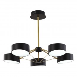 Светильник EVOLUCE SLE6005-402-05