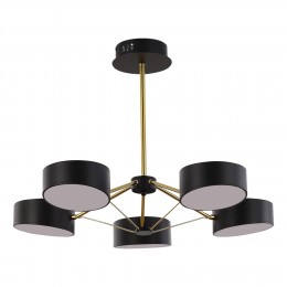 Светильник EVOLUCE SLE6005-402-05