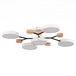 Светильник EVOLUCE SLE6006-502-05