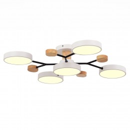 Светильник EVOLUCE SLE6006-502-05