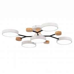 Светильник EVOLUCE SLE6006-502-05