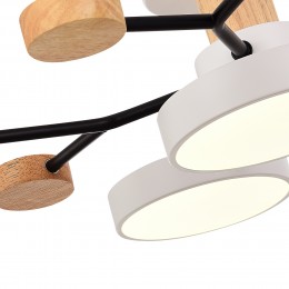 Светильник EVOLUCE SLE6006-502-05