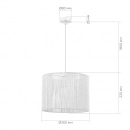 EVOLUCE SLE6024-503-01