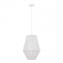 EVOLUCE SLE6025-513-01