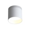 Потолочный светильник ST LUCE ST102.502.09