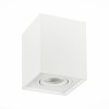 Потолочный светильник ST LUCE ST109.507.01