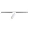 Трековый светильник ST LUCE ST382.546.10.TRIAC 