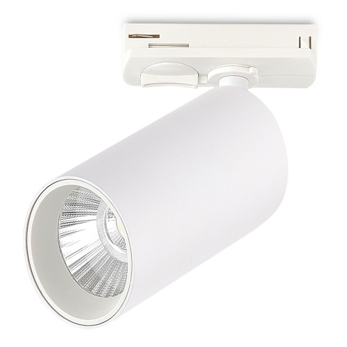 Трековый светильник ST LUCE ST382.546.10.TRIAC 