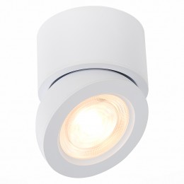 Потолочный светильник ST LUCE ST654.542.10