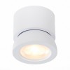 Потолочный светильник ST LUCE ST654.542.10