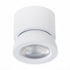 Потолочный светильник ST LUCE ST654.542.10