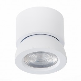 Потолочный светильник ST LUCE ST654.542.10