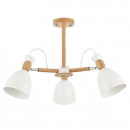 Светильник EVOLUCE SLE103802-03