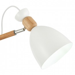 Светильник EVOLUCE SLE103802-03