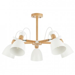 Светильник EVOLUCE SLE103802-05