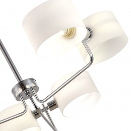 EVOLUCE SLE1121-102-06