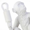 Светильник EVOLUCE SLE115104-01