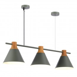 Светильник EVOLUCE SLE125113-03