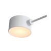 Светильник EVOLUCE SLE183502-04