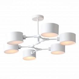 Светильник EVOLUCE SLE183502-06