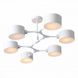 Светильник EVOLUCE SLE183502-06