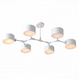 Светильник EVOLUCE SLE183502-06