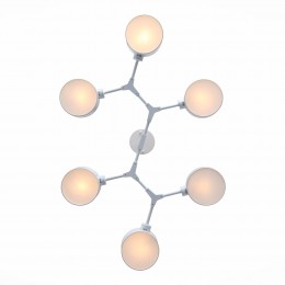 Светильник EVOLUCE SLE183502-06