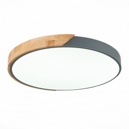 Светильник EVOLUCE SLE200972-01