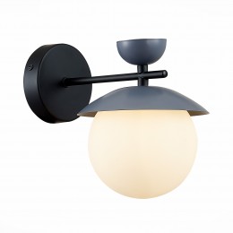 Светильник EVOLUCE SLE220201-01