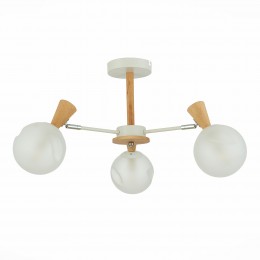 Светильник EVOLUCE SLE220702-03