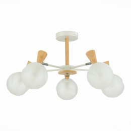 Светильник EVOLUCE SLE220702-05