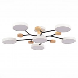 Светильник EVOLUCE SLE6006-502-06