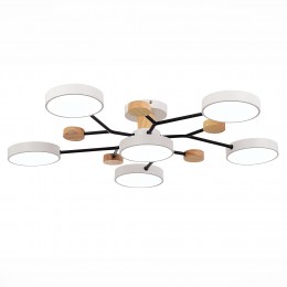 Светильник EVOLUCE SLE6006-502-06