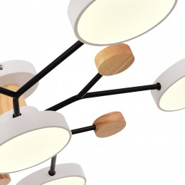 Светильник EVOLUCE SLE6006-502-06