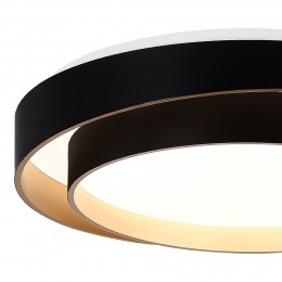 Светильник EVOLUCE SLE6009-402-01