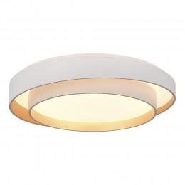 Светильник EVOLUCE SLE6009-502-01