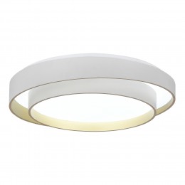 Светильник EVOLUCE SLE6009-502-01