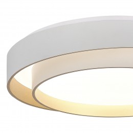 Светильник EVOLUCE SLE6009-502-01