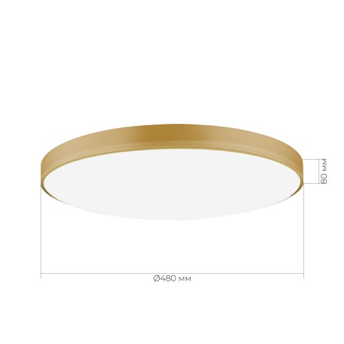 EVOLUCE SLE6011-202-80