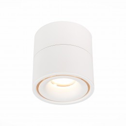 Потолочный светильник ST LUCE ST652.532.12