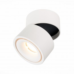 Потолочный светильник ST LUCE ST652.542.12