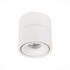 Потолочный светильник ST LUCE ST652.542.12