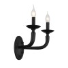 Светильник ST LUCE SL1114.401.02