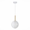 Светильник ST LUCE SL1183.503.01
